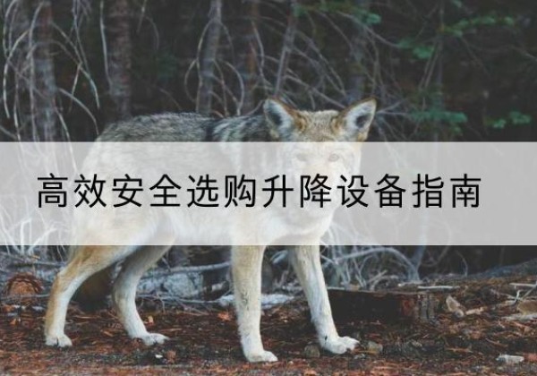正安升降货梯厂家推荐-*安全选购升降设备指南