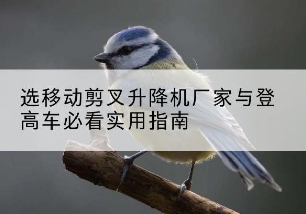 正安电动升降机厂家-选移动剪叉升降机厂家与登高车必看实用指南