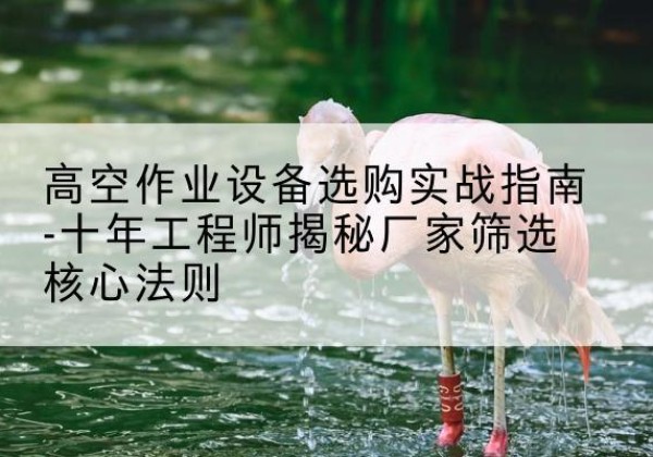 正安剪叉式升降机厂家-高空作业设备选购实战指南-十年工程师揭秘厂家筛选核心法则